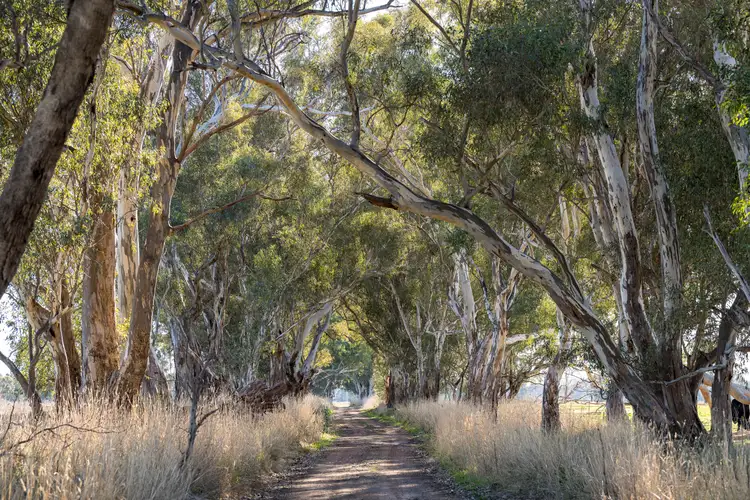 Third view of Homely rural property listing, CA34 and CA42 Rothesay Road, Tatong VIC 3673