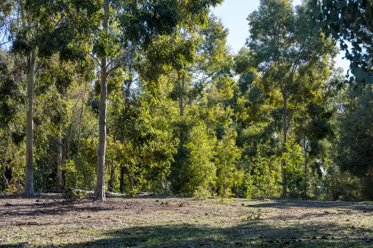Fifth view of Homely rural property listing, CA34 and CA42 Rothesay Road, Tatong VIC 3673