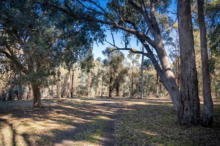 Seventh view of Homely rural property listing, CA34 and CA42 Rothesay Road, Tatong VIC 3673