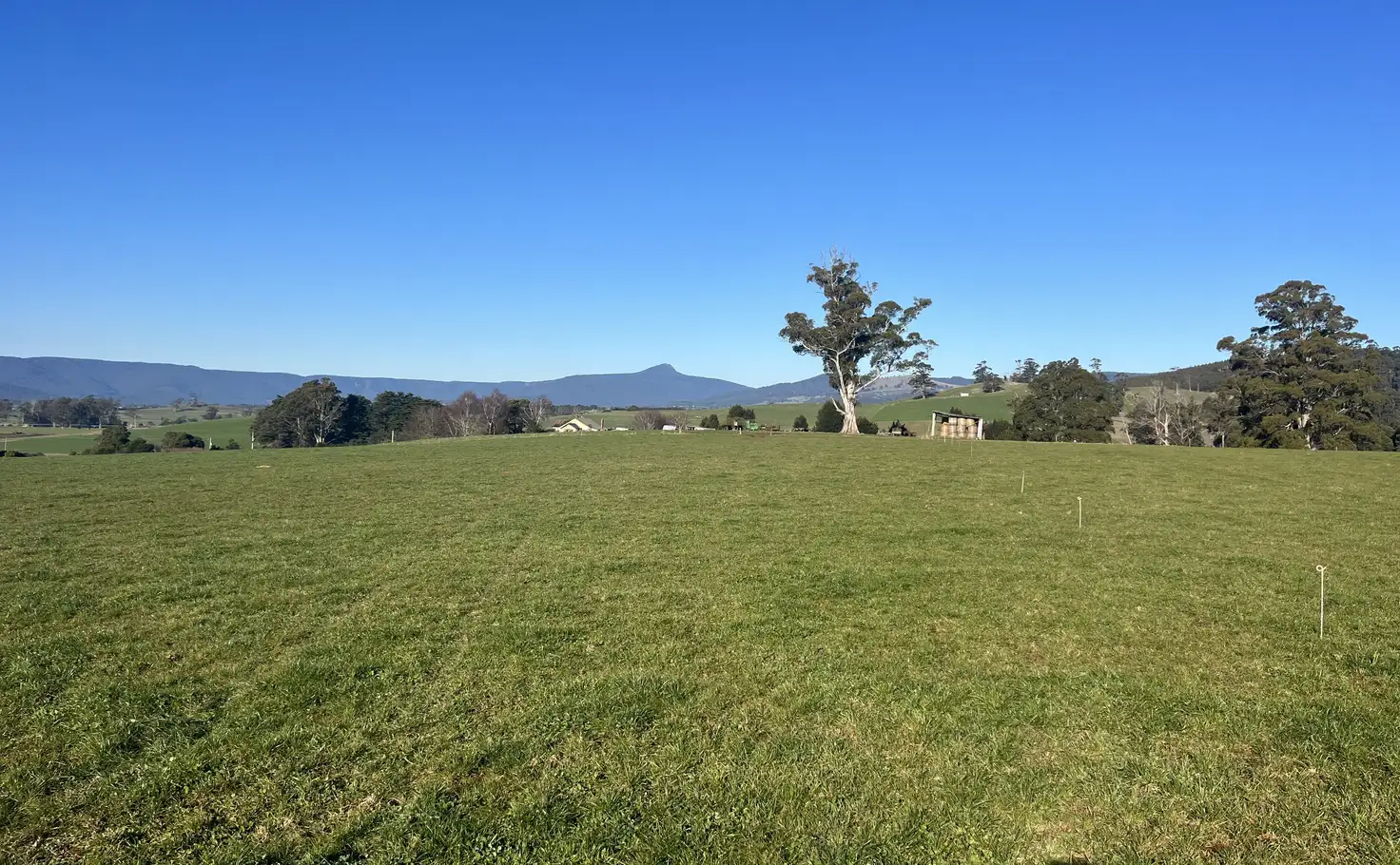 Main view of Homely rural property listing, 140 Peddles Road, Legerwood TAS 7263