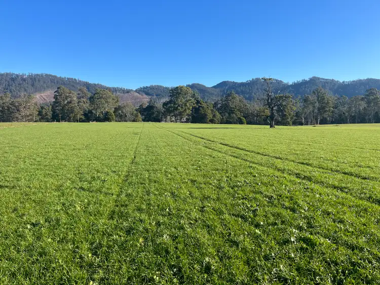 Third view of Homely rural property listing, 140 Peddles Road, Legerwood TAS 7263