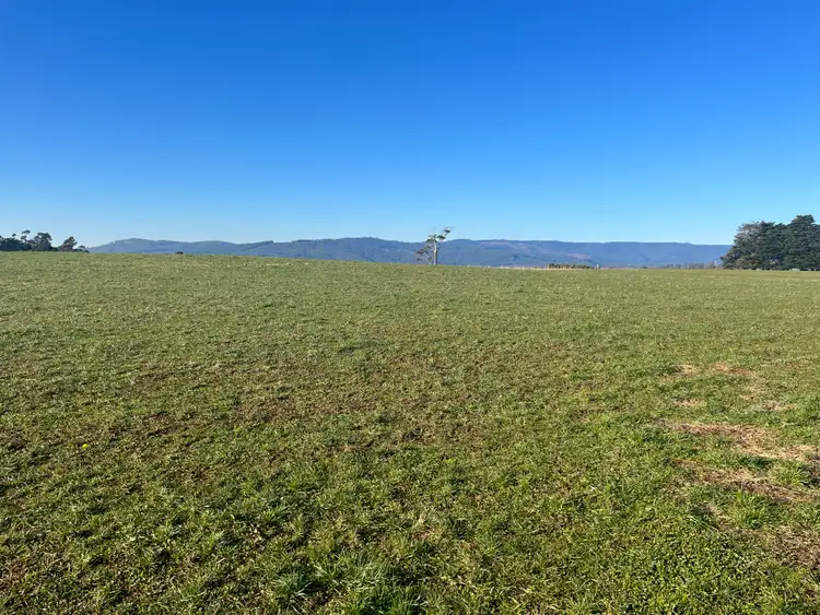 Fourth view of Homely rural property listing, 140 Peddles Road, Legerwood TAS 7263