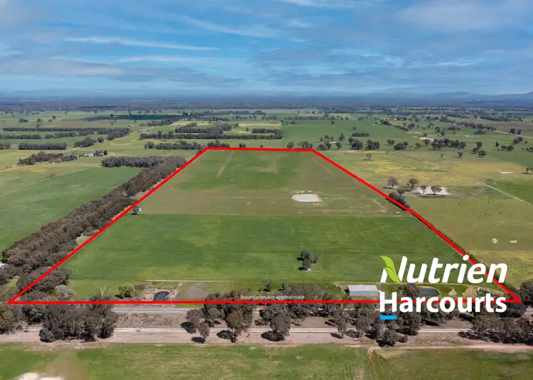 Second view of Homely rural property listing, 00 Londrigan-Tarrawingee Road, Londrigan VIC 3678