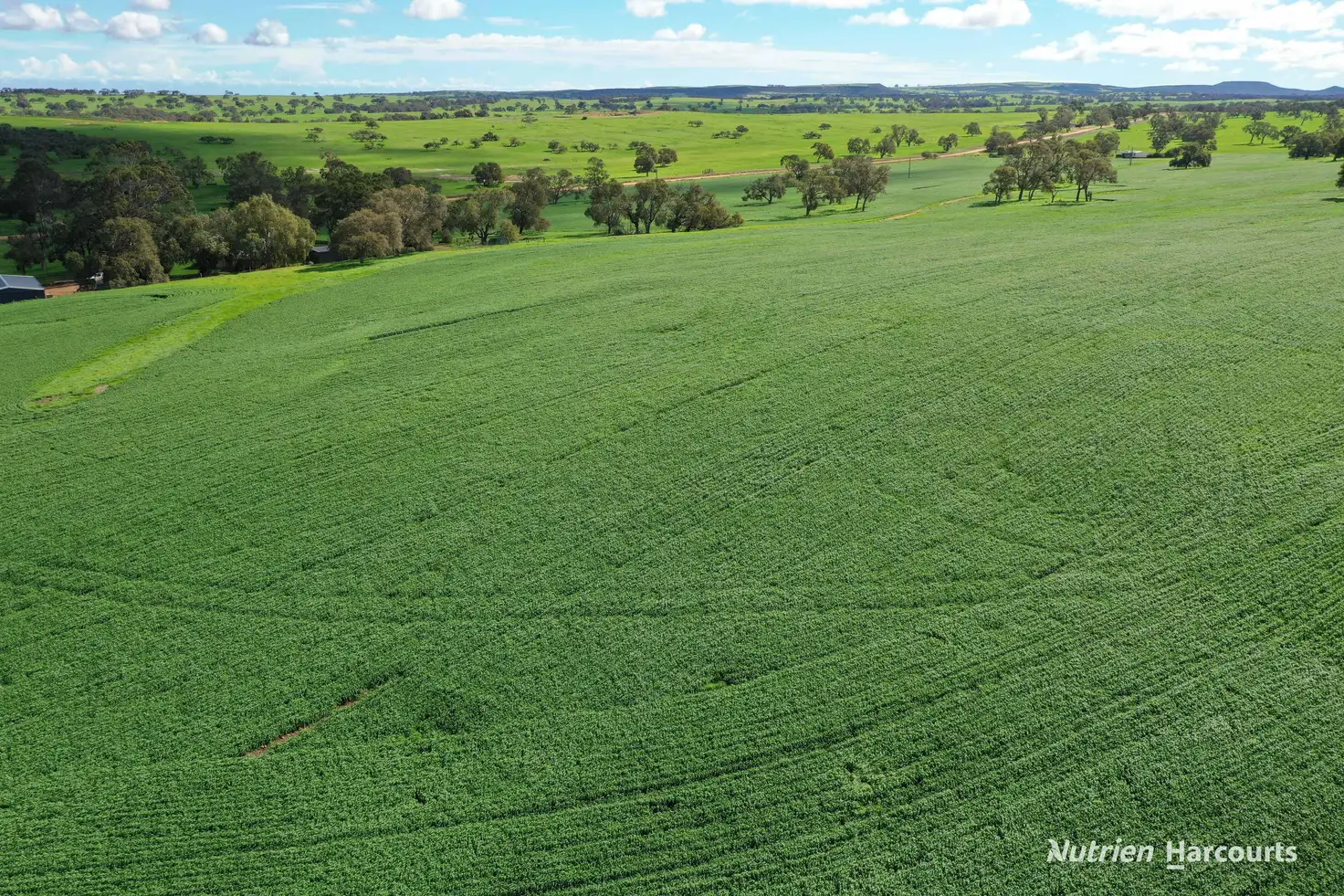Main view of Homely rural property listing, 539 Black Arrow Road, Hill River WA 6521