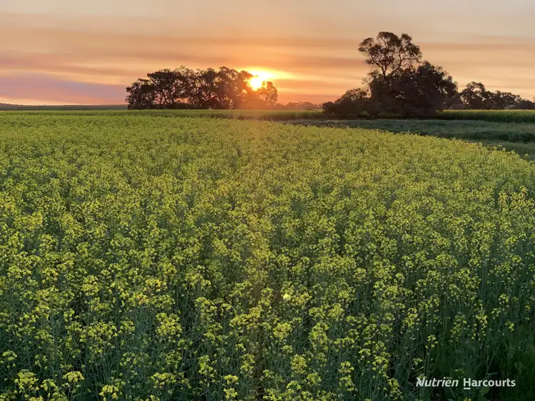 Fourth view of Homely rural property listing, 539 Black Arrow Road, Hill River WA 6521