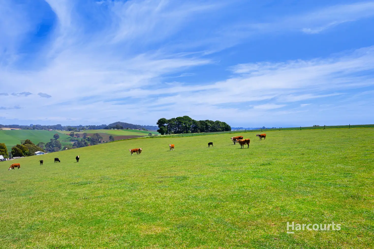 Main view of Homely rural property listing, 201 Natone Road, Stowport TAS 7321