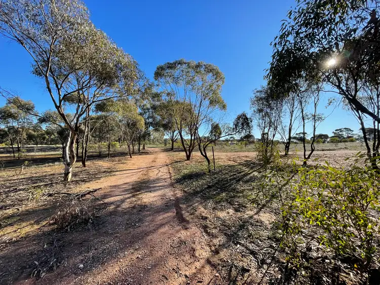 Sixth view of Homely rural property listing, Lot 36 Kay Road, St Arnaud VIC 3478