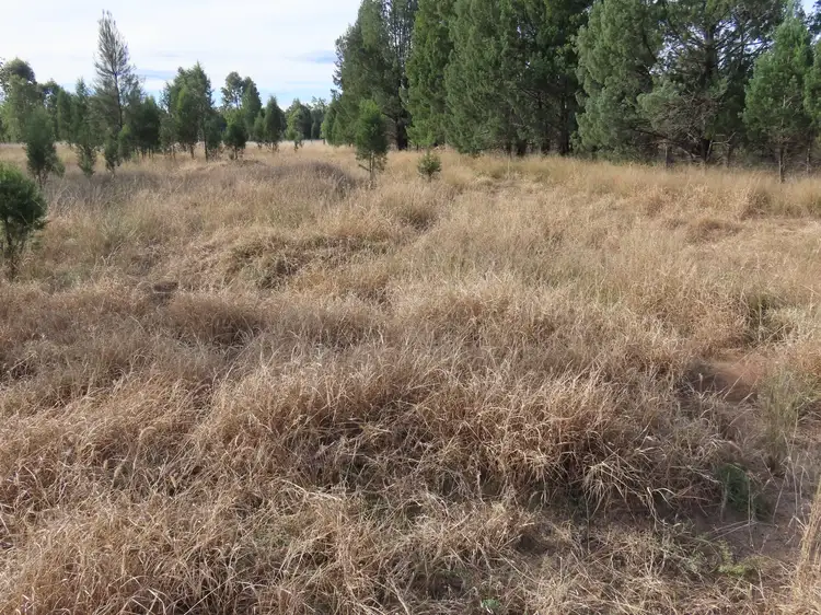 Fourth view of Homely rural property listing, Hills & Hendricks - Pelican Lagoons Road, Chinchilla QLD 4413