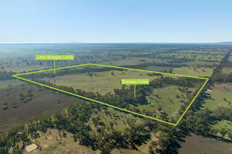 Main view of Homely rural property listing, CA 64 Cullens Road, Molka VIC 3666
