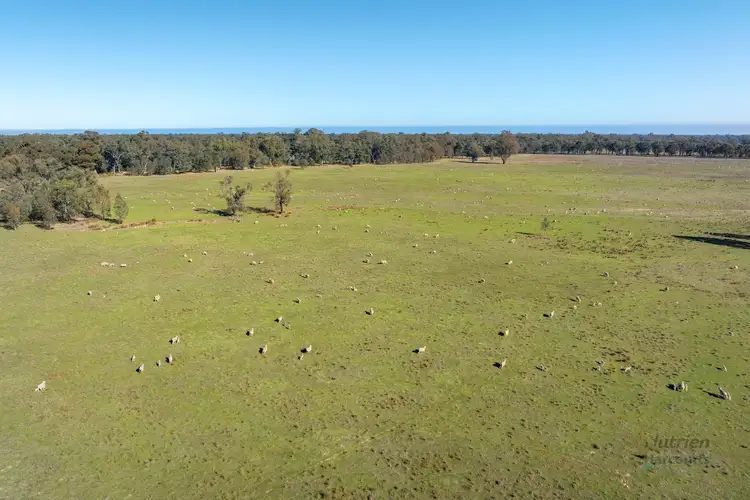 Third view of Homely rural property listing, CA 64 Cullens Road, Molka VIC 3666
