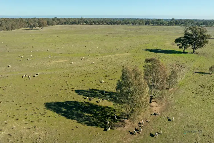 Fourth view of Homely rural property listing, CA 64 Cullens Road, Molka VIC 3666