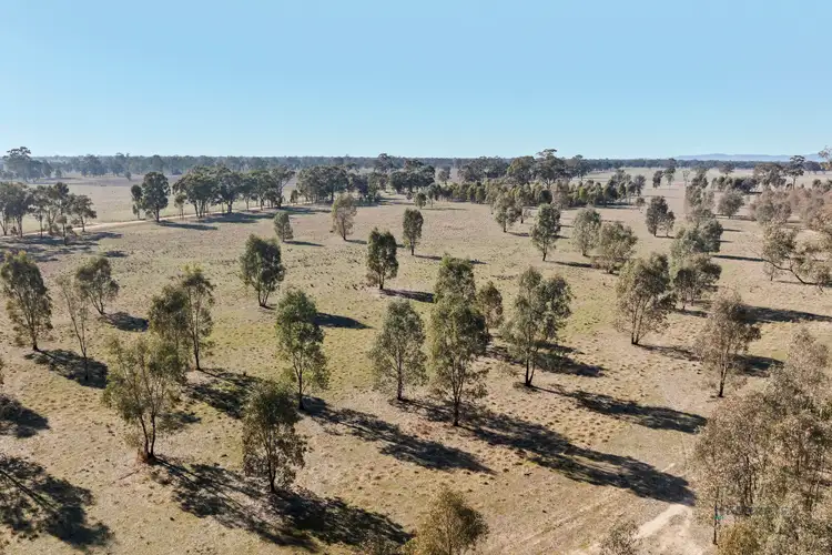 Sixth view of Homely rural property listing, CA 64 Cullens Road, Molka VIC 3666
