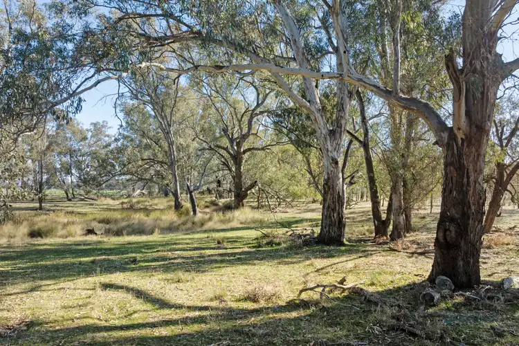 Seventh view of Homely rural property listing, CA 64 Cullens Road, Molka VIC 3666