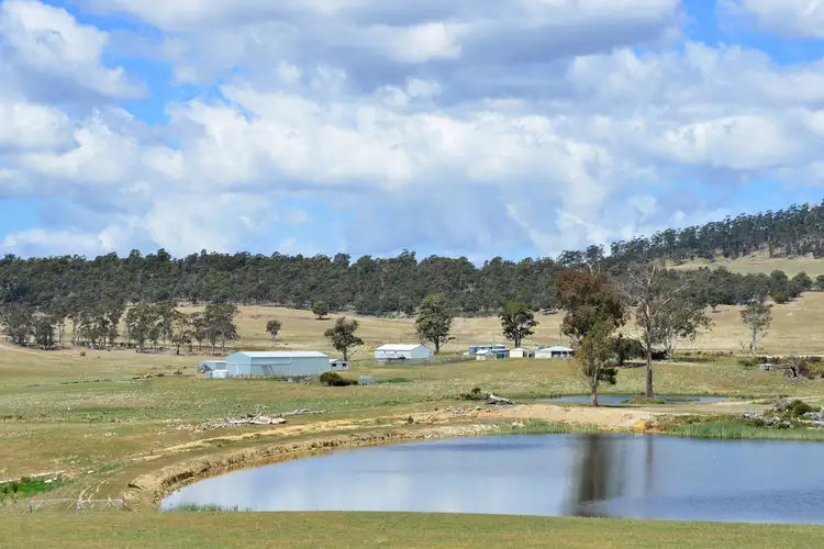 Fourth view of Homely rural property listing, 34 Dundee Road, Whitefoord TAS 7120