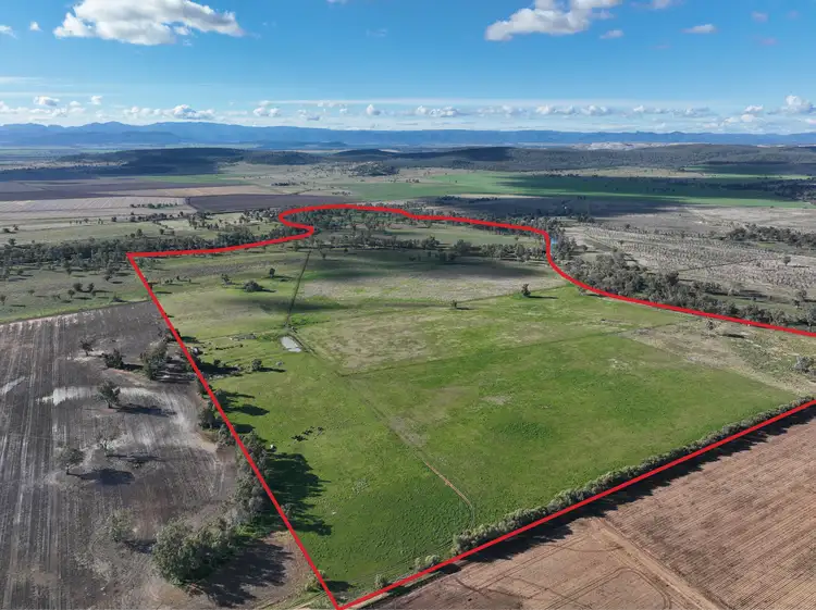 Second view of Homely rural property listing, 207 Henriendi Lane, Narrabri NSW 2390