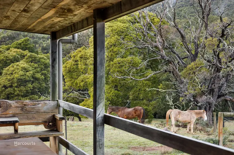 Fourth view of Homely house listing, 851 Ironcliffe Road, Penguin TAS 7316