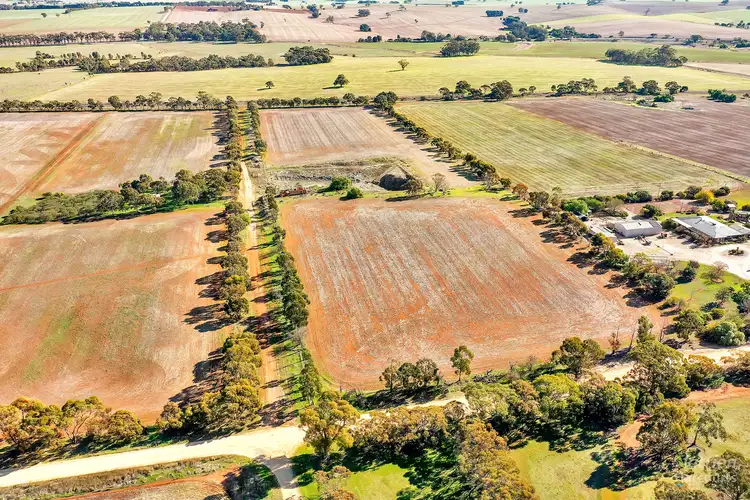 Fifth view of Homely rural property listing, Lot 83 Blocks Road, Riverton SA 5412
