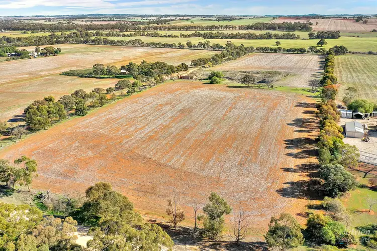 Seventh view of Homely rural property listing, Lot 83 Blocks Road, Riverton SA 5412