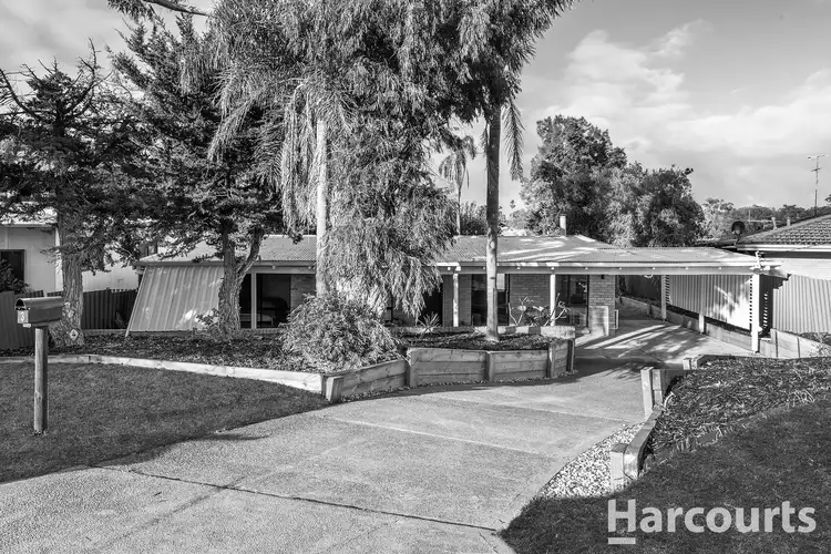 Main view of Homely house listing, 3 Lyelta Street, Falcon WA 6210