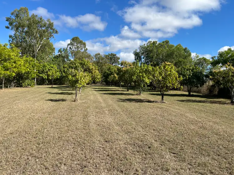 Main view of Homely rural property listing, 296 Mount Dangar Road, Bowen QLD 4805