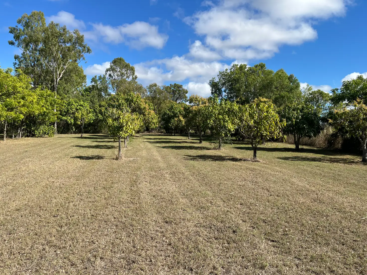 Main view of Homely rural property listing, 296 Mount Dangar Road, Bowen QLD 4805