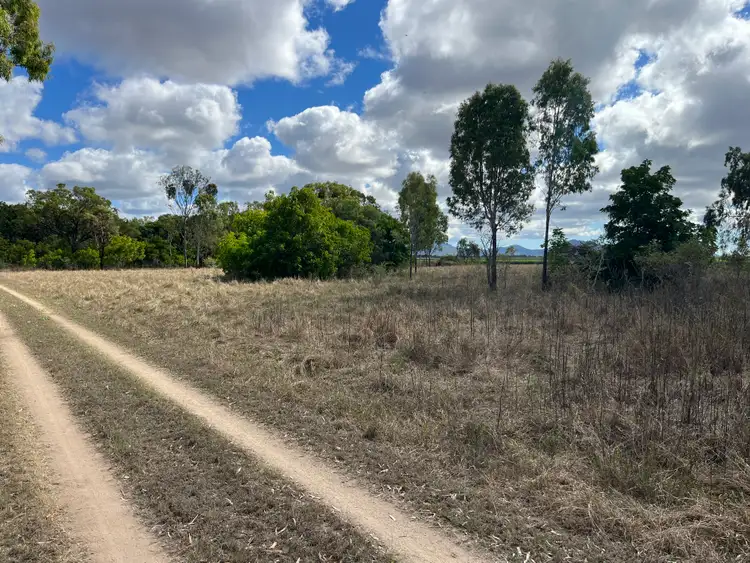 Seventh view of Homely rural property listing, 296 Mount Dangar Road, Bowen QLD 4805