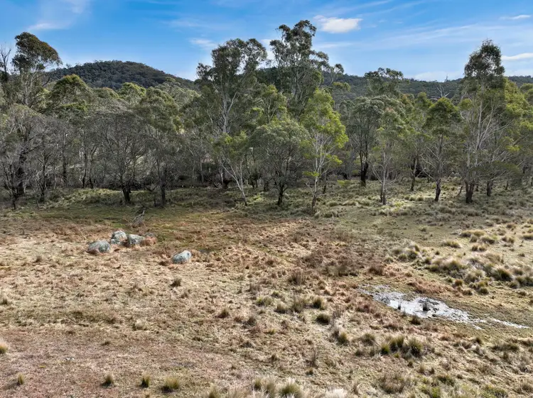 Main view of Homely rural property listing, Lot 1065 Creewah Road, Creewah NSW 2631