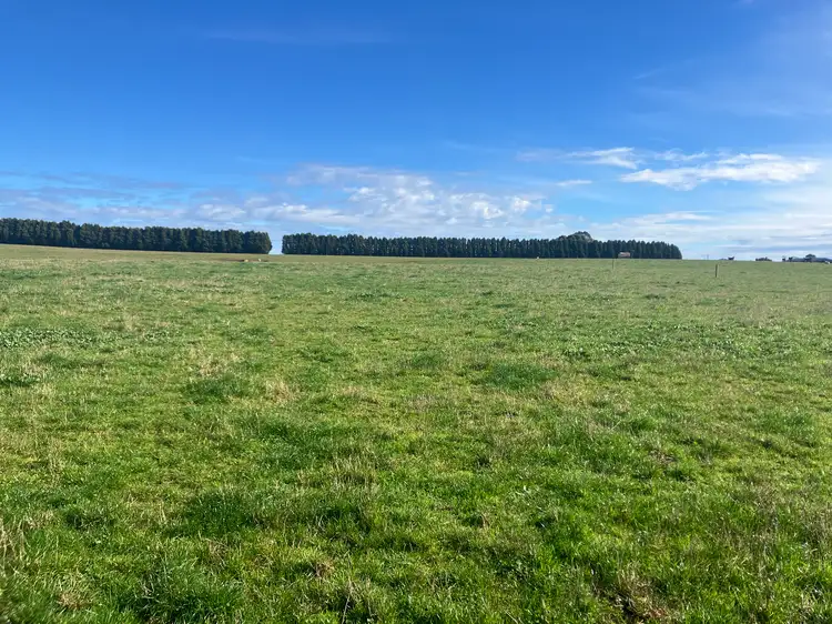 Second view of Homely rural property listing, 511 Backline Road, Forest TAS 7330