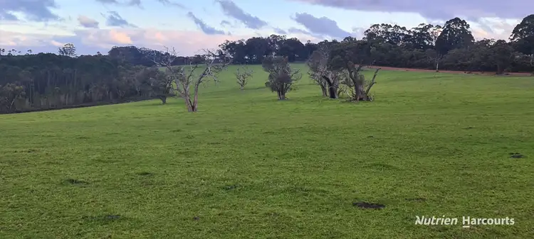 Fifth view of Homely rural property listing, 526 Board Road, Kordabup WA 6333