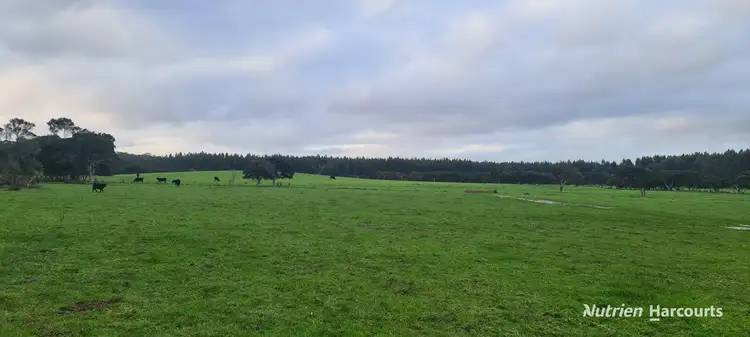 Sixth view of Homely rural property listing, 526 Board Road, Kordabup WA 6333