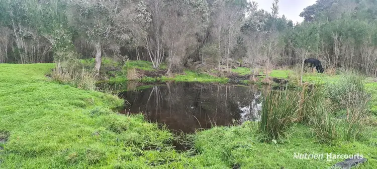 Seventh view of Homely rural property listing, 526 Board Road, Kordabup WA 6333