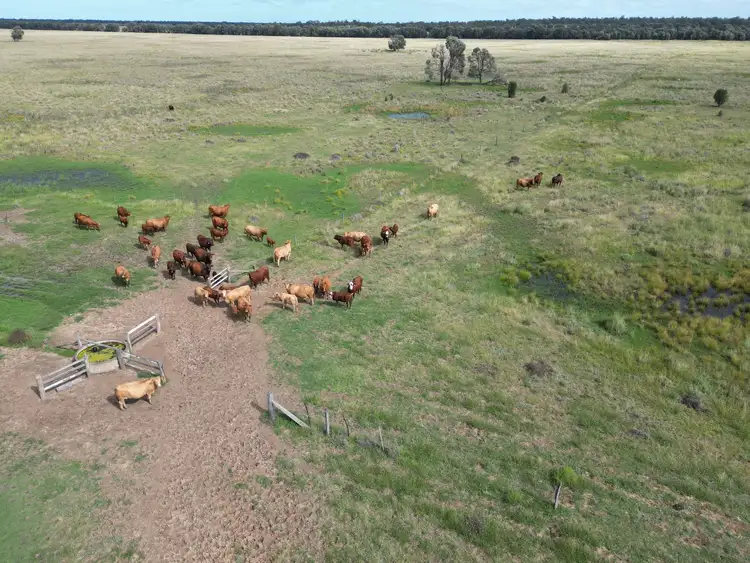 Fourth view of Homely rural property listing, "EastLea" Chinchilla Wondai Road, Chinchilla QLD 4413