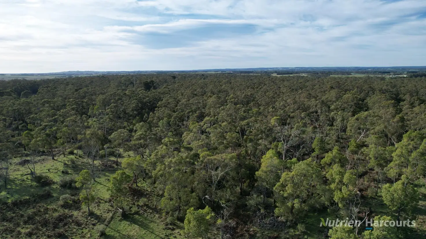 Main view of Homely rural property listing, 1805 Princes Highway, Pirron Yallock VIC 3249