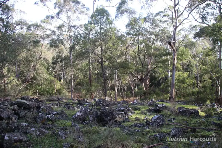 Fourth view of Homely rural property listing, 1805 Princes Highway, Pirron Yallock VIC 3249