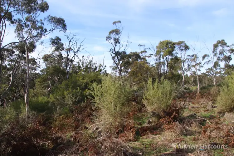 Sixth view of Homely rural property listing, 1805 Princes Highway, Pirron Yallock VIC 3249