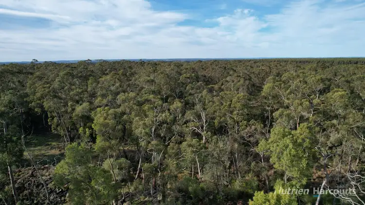 Seventh view of Homely rural property listing, 1805 Princes Highway, Pirron Yallock VIC 3249