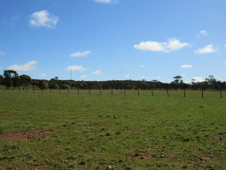 Second view of Homely land listing, Lot 348 Badger Street, Peterborough SA 5422