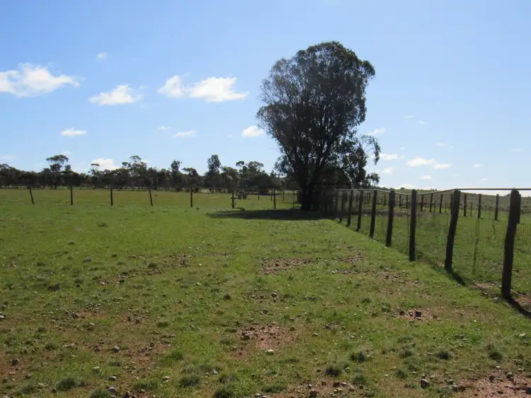 Fifth view of Homely land listing, Lot 348 Badger Street, Peterborough SA 5422