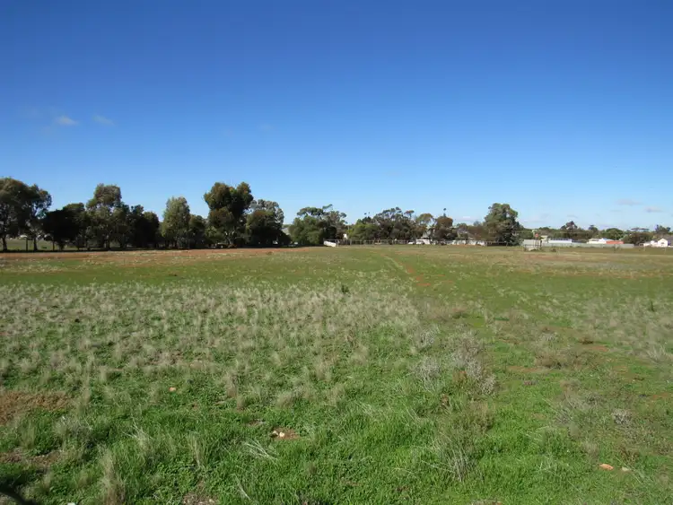 Seventh view of Homely land listing, Lot 348 Badger Street, Peterborough SA 5422