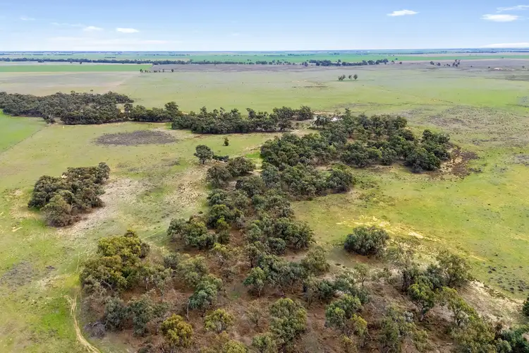 Fifth view of Homely rural property listing, . Settlement Road, Quambatook VIC 3540