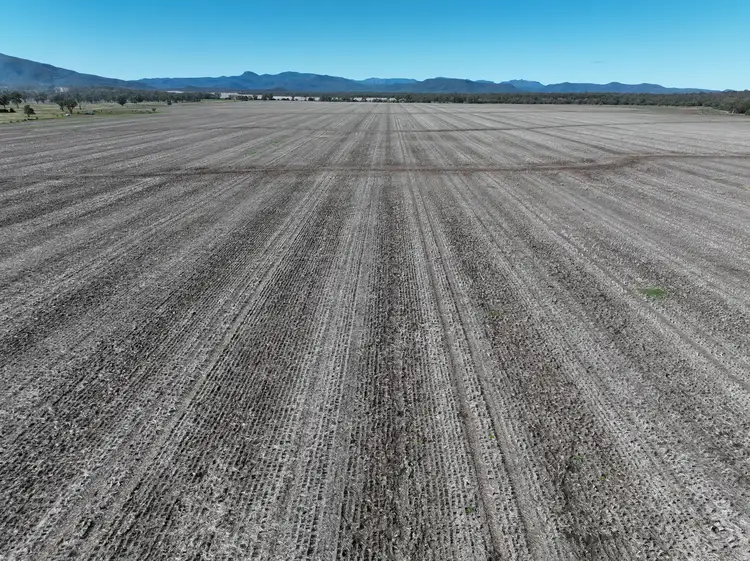 Sixth view of Homely rural property listing, 637 Mellburra Road, Narrabri NSW 2390