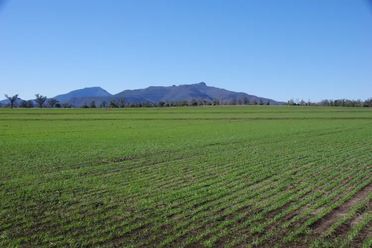 Seventh view of Homely rural property listing, 637 Mellburra Road, Narrabri NSW 2390