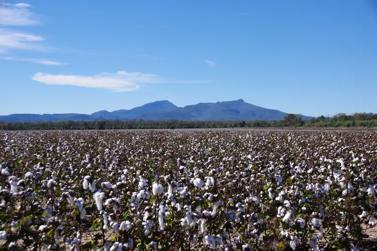 788 Couradda Road, Narrabri NSW 2390