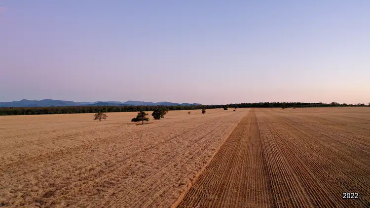 Fourth view of Homely rural property listing, 788 Couradda Road, Narrabri NSW 2390
