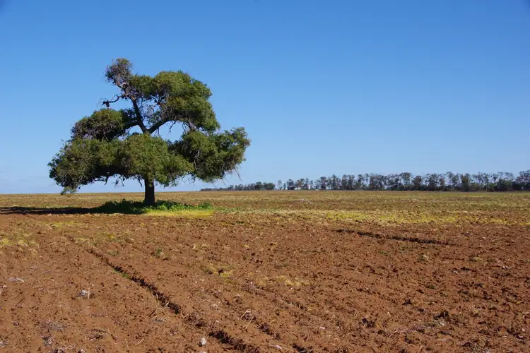 Seventh view of Homely rural property listing, 788 Couradda Road, Narrabri NSW 2390