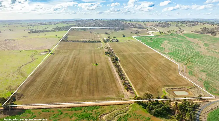 Third view of Homely rural property listing, 413 Reynella Road, Walbundrie NSW 2642