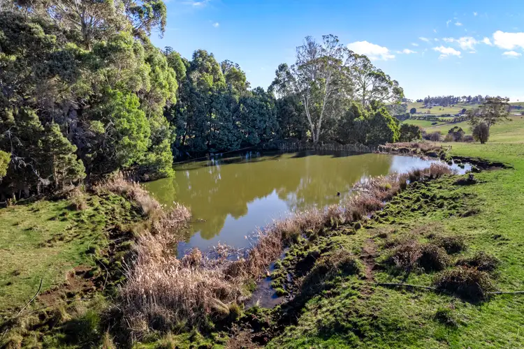 Fifth view of Homely rural property listing, 1240 Weegena Road, Dunorlan TAS 7304