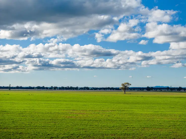 Fifth view of Homely rural property listing, 795 Younga Plains Rd, West Wyalong NSW 2671