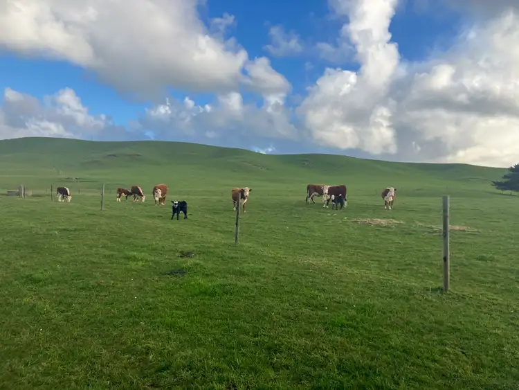 Second view of Homely rural property listing, . Wards Road, Redpa TAS 7330