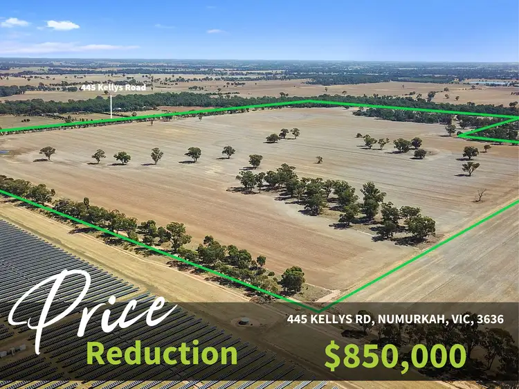 Main view of Homely rural property listing, 445 Kellys rd, Numurkah VIC 3636